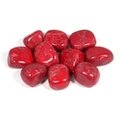 Red Howlite Tumble Stone (20-25mm)
