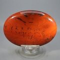 Red Jasper Palmstone (Extra Grade) ~70x50mm