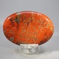 Red Jasper Palmstone (Extra Grade) ~70x50mm