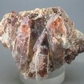 Red Phantom Quartz ~62mm
