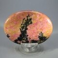 Rhodonite Palmstone (Extra Grade) ~70x50mm