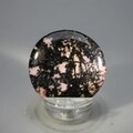 Rhodonite Polished Flat Tumblestone ~39mm
