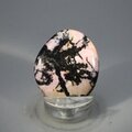 Rhodonite Polished Flat Tumblestone ~39mm