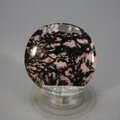 Rhodonite Polished Flat Tumblestone ~42mm