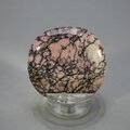 Rhodonite Polished Flat Tumblestone ~42mm