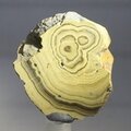 Schalenblende Polished Slice ~31mm