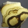 Schalenblende Polished Slice ~33mm