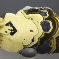 Schalenblende Polished Slice ~40mm