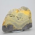 Schalenblende Polished Slice ~43mm