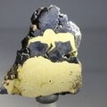Schalenblende Polished Slice ~44mm