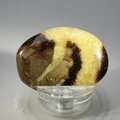 Septarian Massage Stone ~40mm