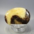 Septarian Massage Stone ~41mm