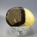 Septarian Massage Stone ~41mm