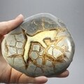 Septarian Polished Nodule ~10cm