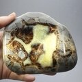 Septarian Polished Nodule ~12cm