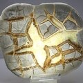 Septarian Polished Nodule ~13cm