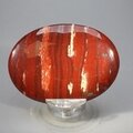 Snakeskin Jasper Palmstone (Extra Grade) ~70x50mm