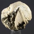 Staurolite Healing Crystal ~22mm