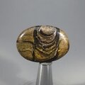 Stromatolite Massage Stone ~38mm