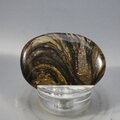 Stromatolite Massage Stone ~39mm
