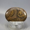 Stromatolite Massage Stone ~39mm