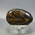 Stromatolite Massage Stone ~39mm