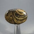 Stromatolite Massage Stone ~41mm