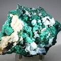 STUNNING Dioptase Mineral Specimen (Namibia) ~105mm