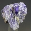 Tanzanite Healing Crystal ~27mm