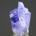 Tanzanite Mini Healing Crystal ~17mm