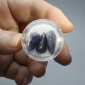 Tanzanite Mini Tumblestone Chips