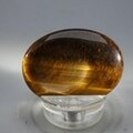 Tiger Eye Thumbstone (Extra Grade) ~40x30mm