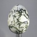 Tree Agate Crystal Egg ~49mm