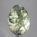 Tree Agate Crystal Egg ~50mm
