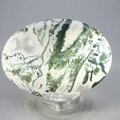 Tree Jasper Palmstone (Extra Grade) ~70x50mm