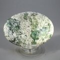 Tree Jasper Palmstone (Extra Grade) ~70x50mm