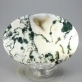 Tree Jasper Palmstone (Extra Grade) ~70x50mm