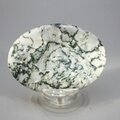 Tree Jasper Palmstone (Extra Grade) ~70x50mm