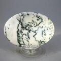 Tree Jasper Palmstone (Extra Grade) ~70x50mm