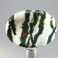 Tree Jasper Thumbstone (Extra Grade) ~40x30mm