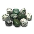 Tree Jasper Tumble Stone (20-25mm) - Single Stone