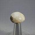 Tugtupite Tumblestone ~20mm