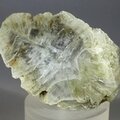 Tunellite Healing Crystal (Collector Grade) ~53mm