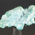 PEACEFUL Turquoise Healing Crystal (Sleeping Beauty Mine)  ~37mm