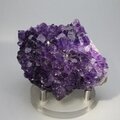 Ultra Grade Amethyst Cluster ~71 x 55mm