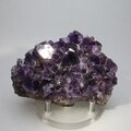 Ultra Grade Amethyst Cluster ~75 x 53mm