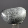 Vivianite Polished Stone  ~32mm