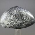 Vivianite Polished Stone  ~48mm