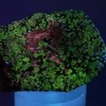 Willemite & Franklinite Healing Mineral ~55mm