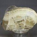 Witherite Mineral Specimen (part-polished) ~57mm